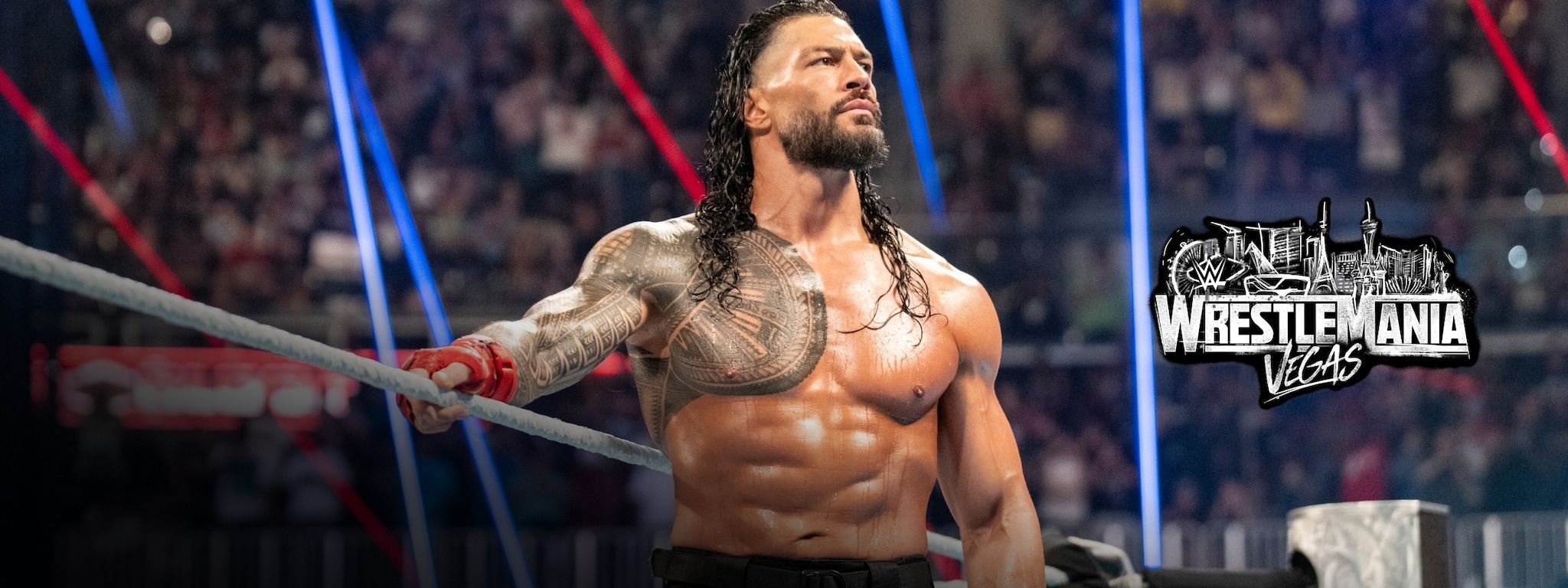 WWEⓇハイエスト・フライヤーズ〈3枚組〉 WWE 公式グッズ｜ファナティクス・ジャパン公式ストア